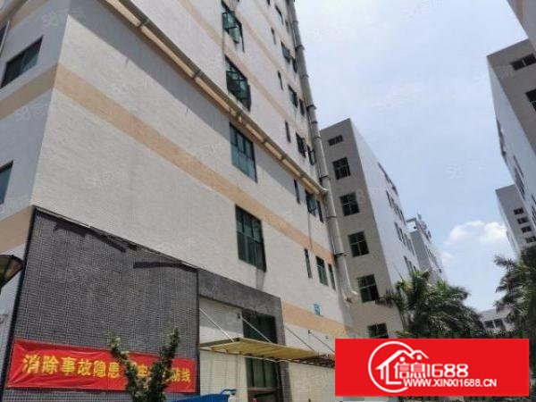 布吉厂房1250平,实际面积出租,原房东标准厂房