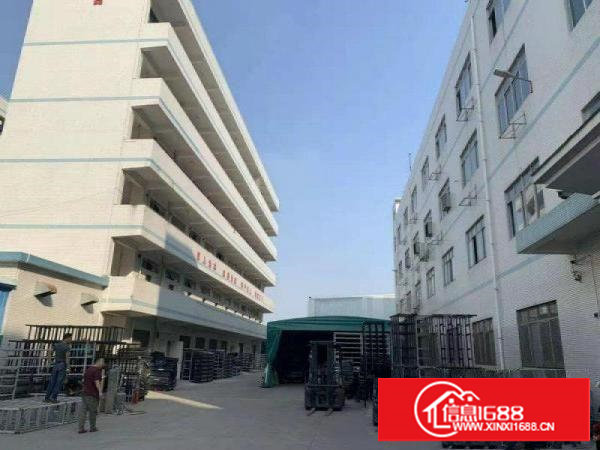 塘厦科苑城大坪出口原房东独院厂房12800平米出租