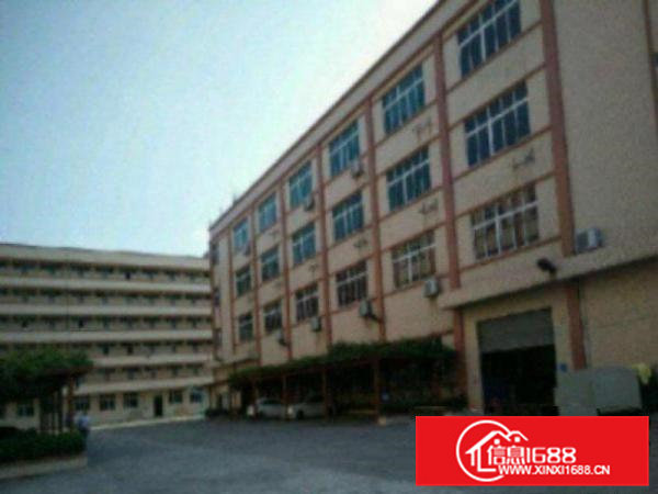 高埗独院标准一楼厂房500-5000平米带办公室装修低价适合