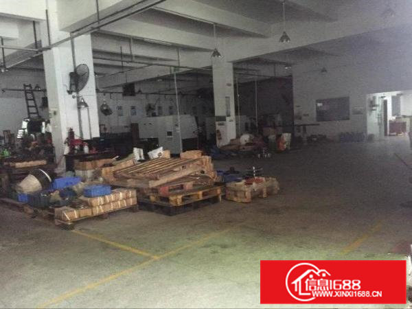 凤岗官井头一楼标准厂房出租1300平，可做机械五金