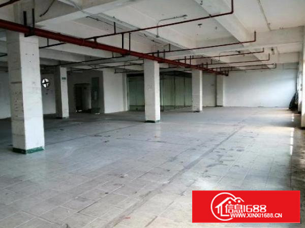 宝安区新安洪浪北地铁口附近工业厂房招租