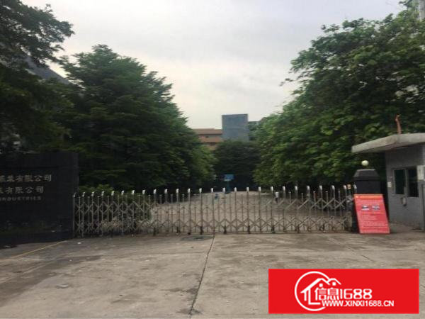 高埗镇低涌村国有证独院标准厂房出租36000平方