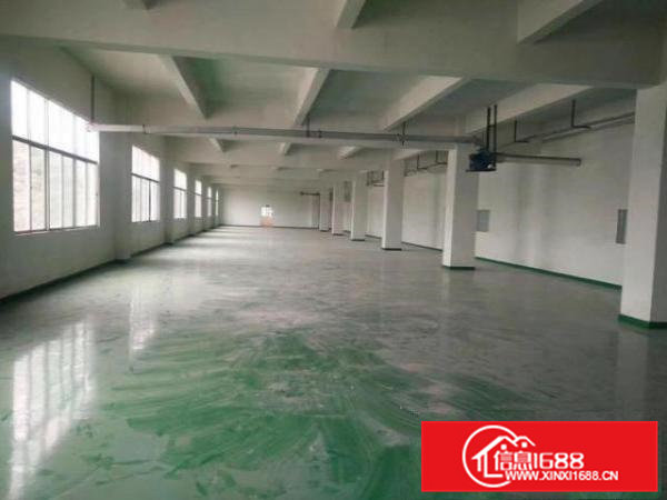 凤岗金凤凰大型工业园厂房分租