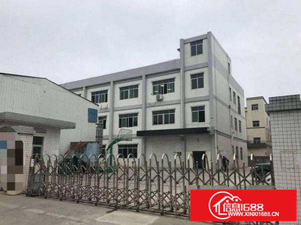 龙见田新出一楼1550平方，厂房现成装修