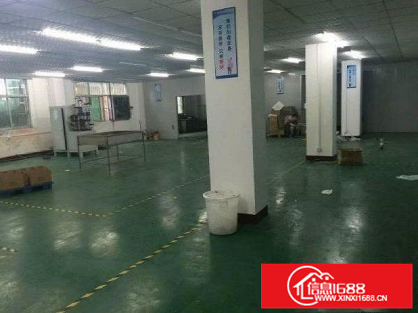 龙岗区宝龙自用厂房一楼650平方出租，无公摊，无杂费