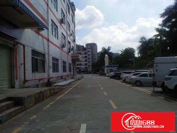 龙华汽车站1400平厂房招租