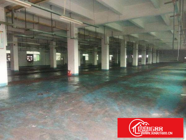 出租清溪清厦独院厂房每层面积1280平米1楼高6米可分租