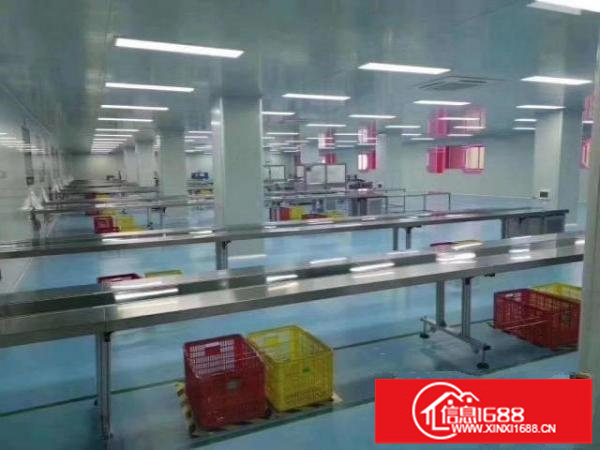 （可做石墨烯）龙岗新出3000平无尘车间工业厂房招租