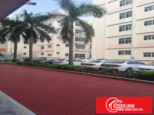 坂田原房东一楼280平258平，2楼1000平，大小分租。