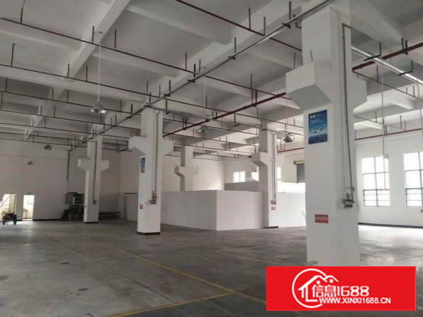 塘厦龙背岭新出原房东1500平方带精装修一楼厂房出租，无公摊