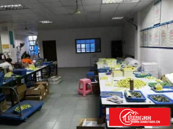 石岩罗租一楼350平面积厂房招租，可办环评，免转让费