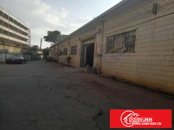 金凤凰单一层厂房450平米现成装修出租