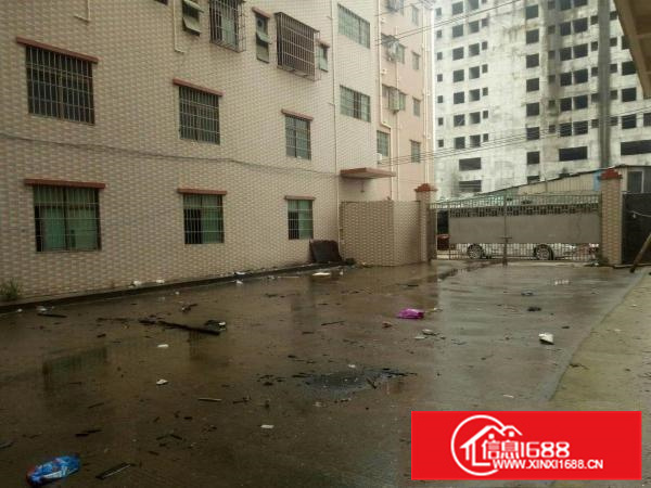 原房东，惠阳新圩靠近深圳独院厂房3700平米