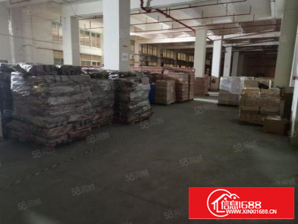 茶山原房东工业园分租标准一楼带现成装修，工业用地可办环评