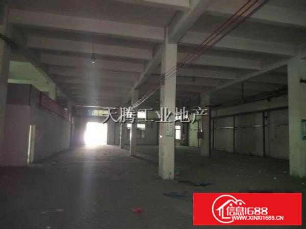 大浪原房东花园式厂房单层1680平方米出租