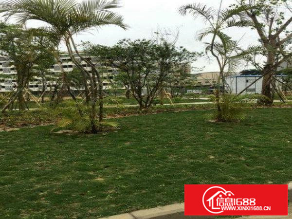 红本产权!万级无尘车间!5000平方豪华装修独院厂房出租啦!