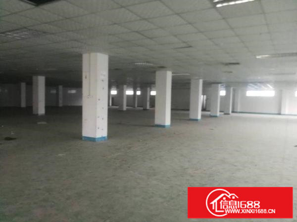 清溪大利新出原房东楼上现成装修厂房1700平米