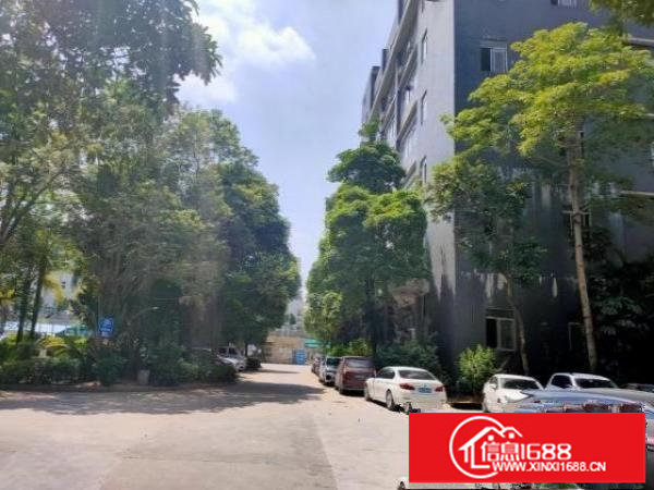 观澜红本厂房出租2500平