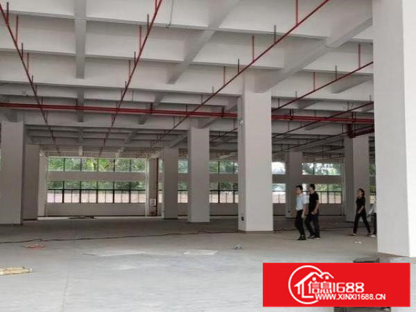 环境优美，全新厂房分租，需要的可以联系我