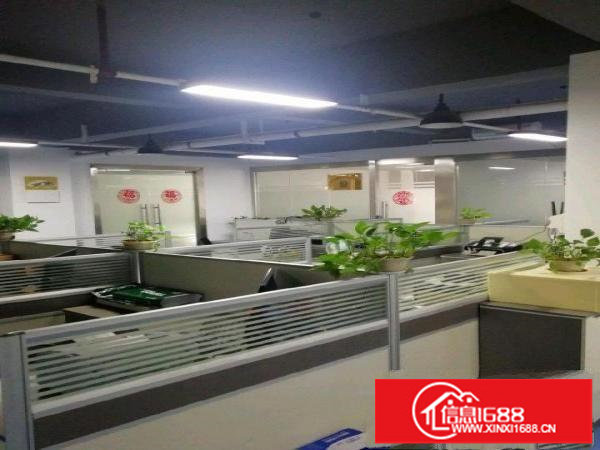 龙岗双环新一代信息技术产业园厂房220平米