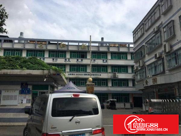 横岗安良原房东花园式厂房独院9600平米1至4层可分租