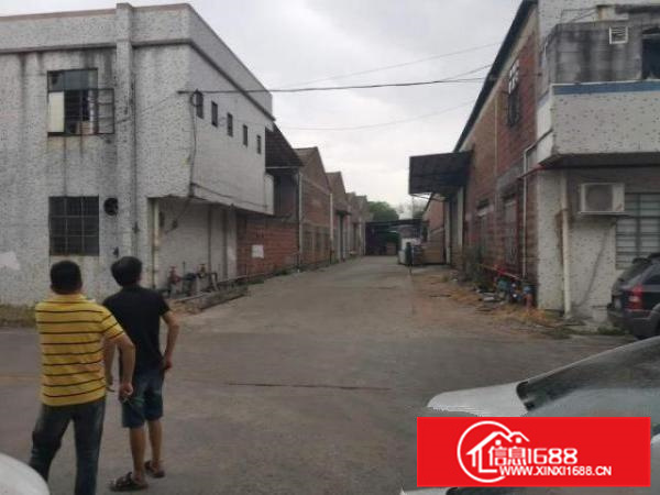 河滘工业区2700平米钢构出租