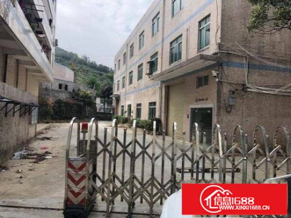 一手房东实际面积出租带地坪漆小独院合同5年起可办环评