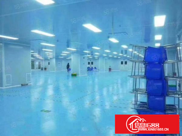 十万级无尘车间容桂标准3000方厂房出租