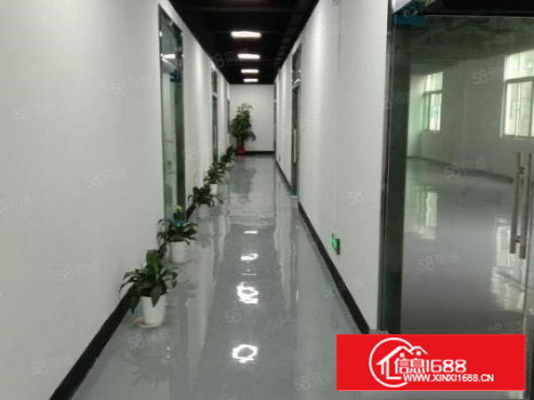 西乡恒明珠科技园600平精装修厂房出租