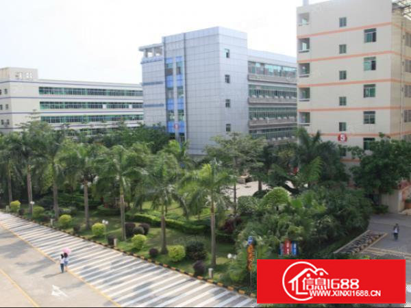 布吉联创科技园1190平开发商直租厂房园区配套成熟