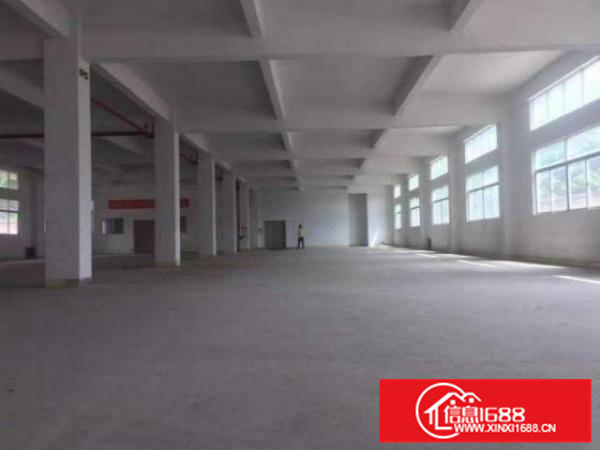 丹灶沙滘900平标准一楼带装修，消防有证