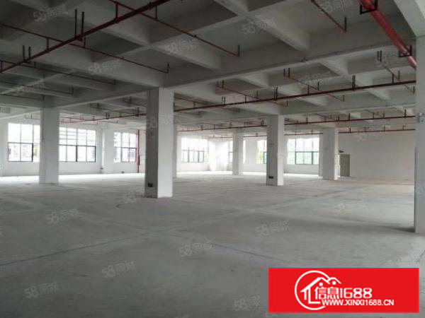 急租，常平新出原房东全新红本独院20000平方厂房出租