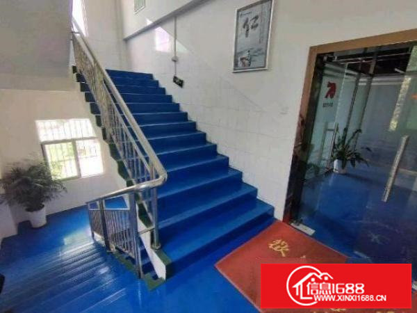 红本厂房厂房高大上。园区干净管理好。