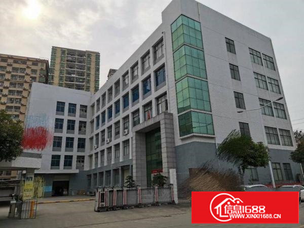 厦岗原房东厂房新空出，带精装修