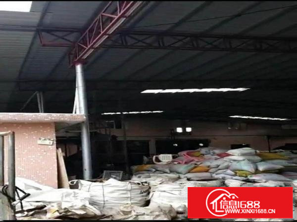 东坑角社现空出（全能）厂房，合适多种行业