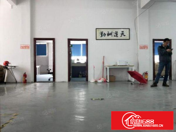 顺德伦教新出1楼厂房1000方，方正实用，一手房东，不拆迁