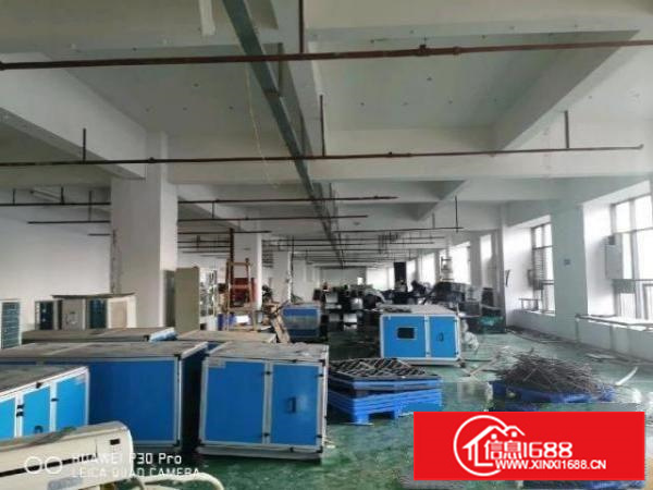 甲子塘靓盘，工业园大气，红本厂房