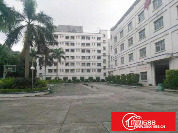 龙岗15元厂房出租1680平有红本同乐新生嶂背南联