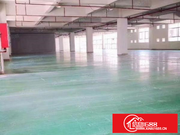 深圳市龙岗区平湖白泥坑海吉星独门独院厂房招租面积3000平米