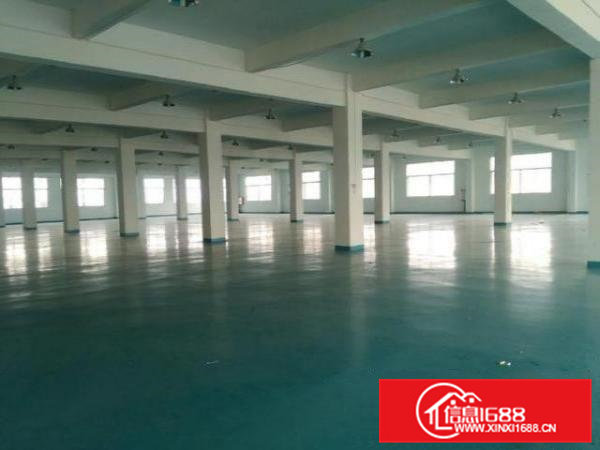 新出独院厂房大小可分每层3000方地坪漆车间