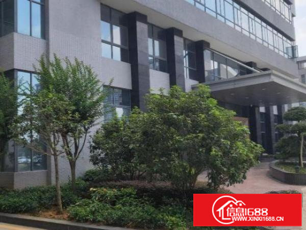 横沥镇适合上市公司或高新产业园个人厂房招租