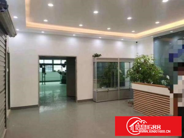 福永凤凰1100平带豪华装修原房东直接出租有红本