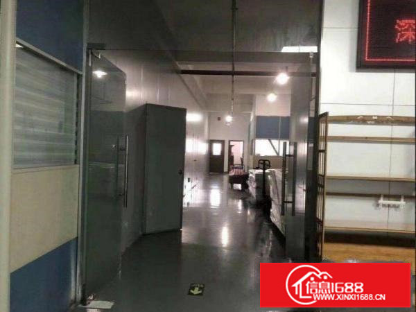 龙岗区南约附近800平方精装无尘车间厂房出租