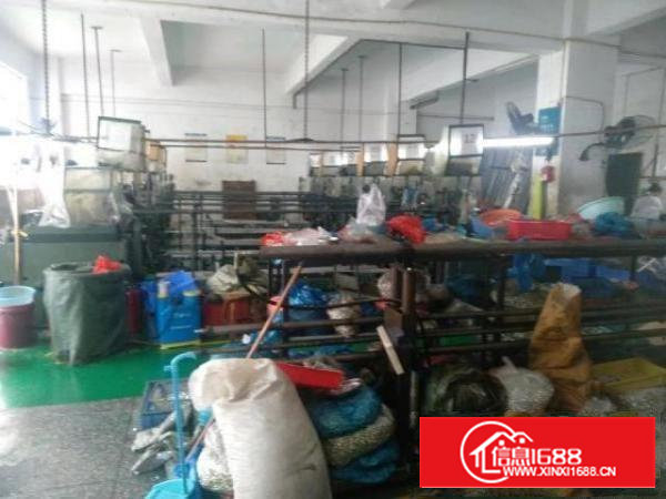 沙井东环路庄村路口新出精装修420平米厂房出租