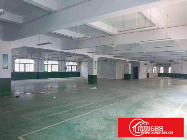 长安厦岗新出独院厂房3900平方招租，带装修可分租