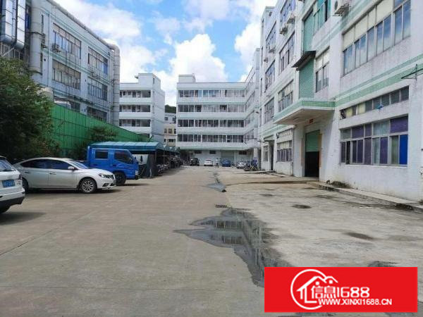 横岗六约1050平方精装厂房出租大小分租