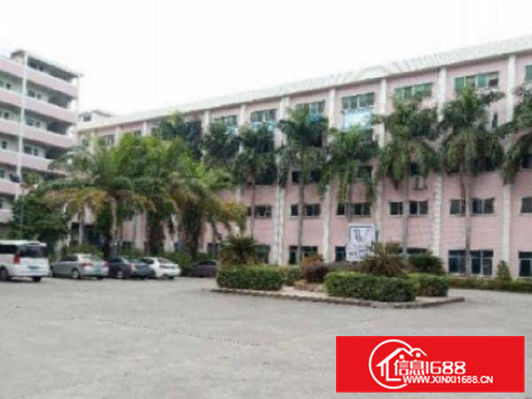 高埗上江城楼上带装修厂房1500平方招租