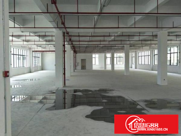 惠阳秋长新出1000平楼上原房东厂房有喷淋空地大