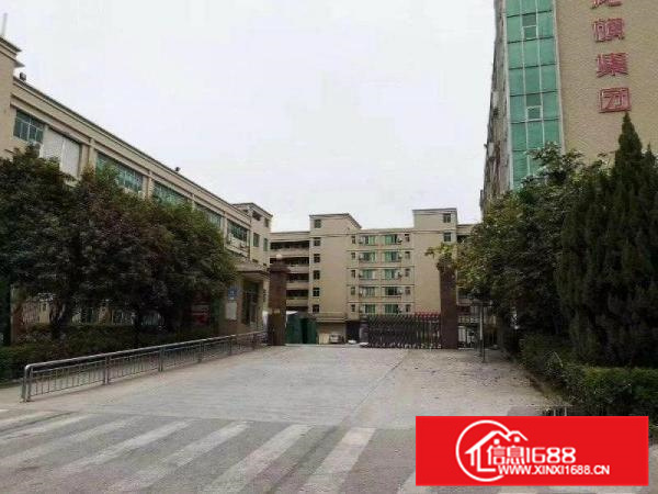 惠阳新圩新出标准厂房一楼430平招租送宿舍