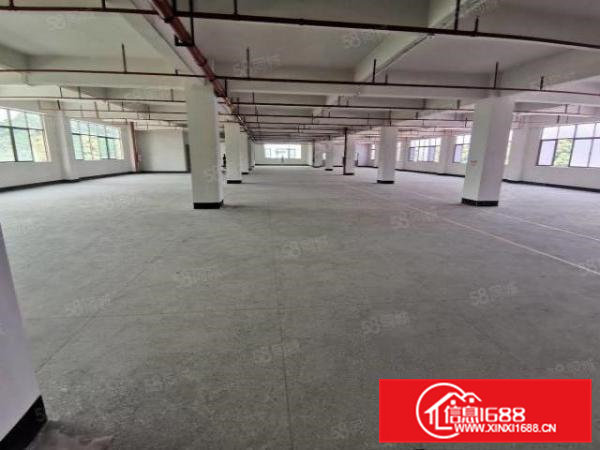 凤岗雁田精博工业区新出3600平带牛角厂房出租300平起分